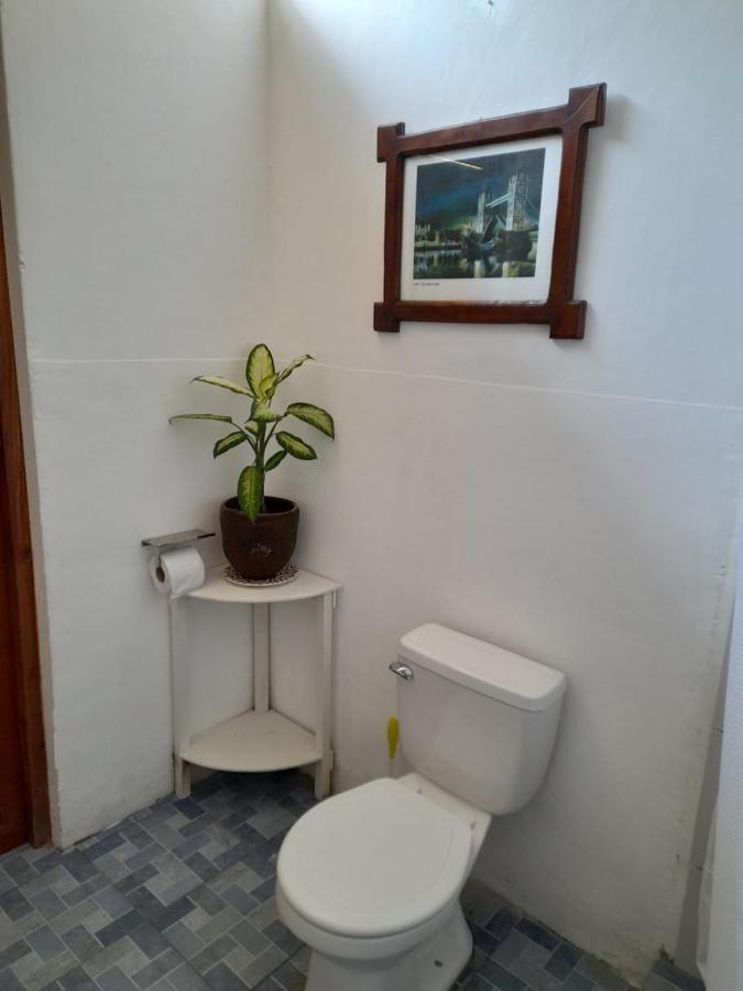 Casa Yoly Hostel Granada Εξωτερικό φωτογραφία