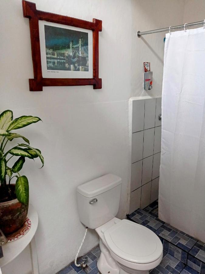 Casa Yoly Hostel Granada Εξωτερικό φωτογραφία