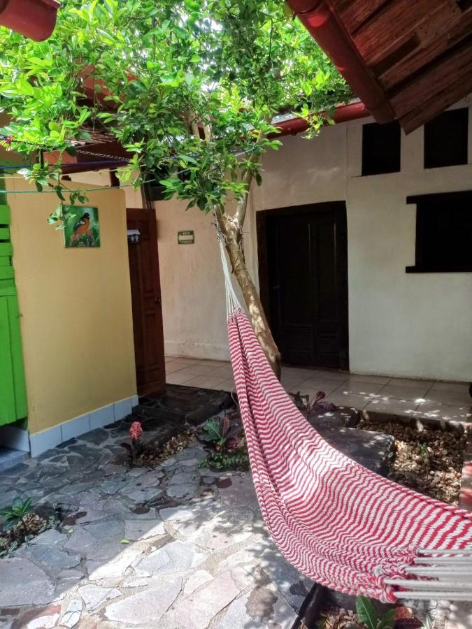 Casa Yoly Hostel Granada Εξωτερικό φωτογραφία